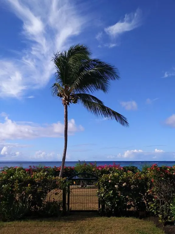 Apartment Savannah Guadeloupe Saint-Francois